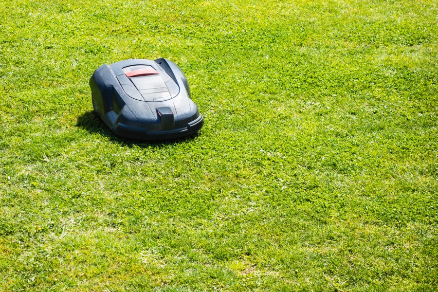 robot koszący na trawniku